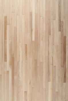 Oak Parquet Flooring (XL)